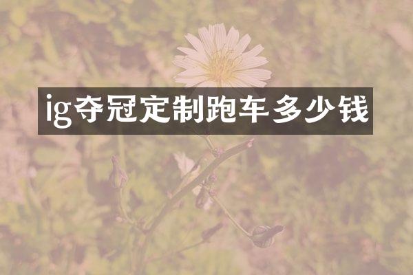 ig夺冠定制跑车多少钱