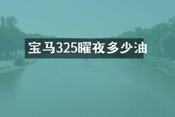 宝马325曜夜多少油