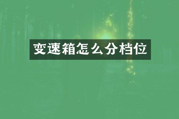 变速箱怎么分档位