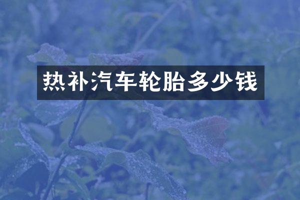 热补汽车轮胎多少钱