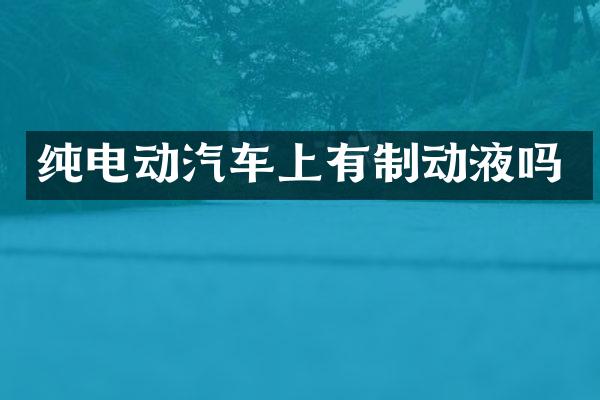 纯电动汽车上有制动液吗