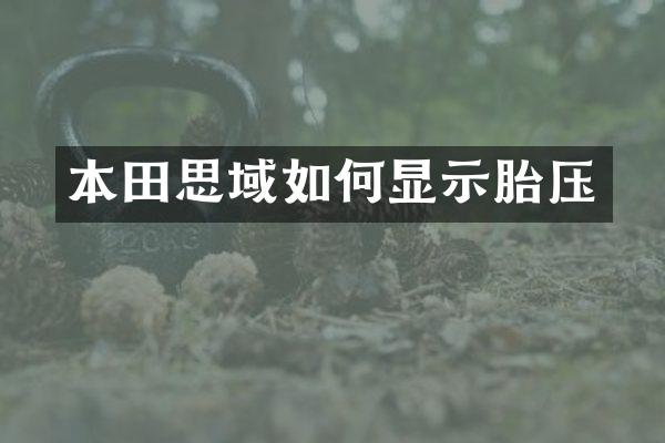 本田思域如何显示胎压