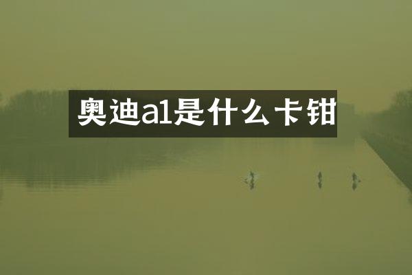 奥迪a1是什么卡钳