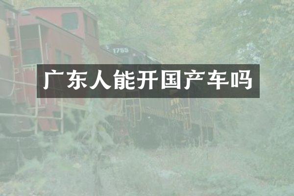 广东人能开国产车吗