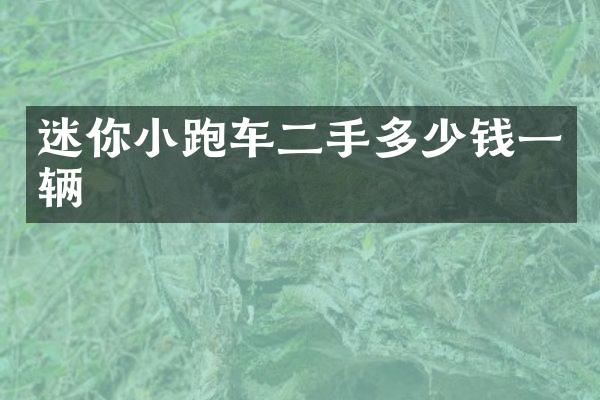 迷你小跑车二手多少钱一辆