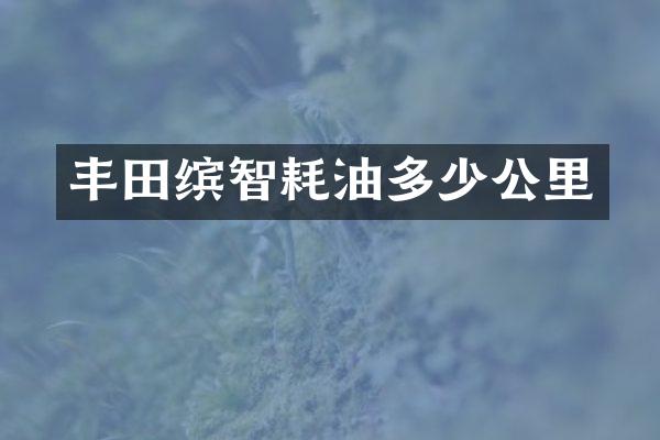 丰田缤智耗油多少公里