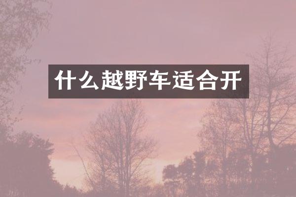 什么越野车适合开