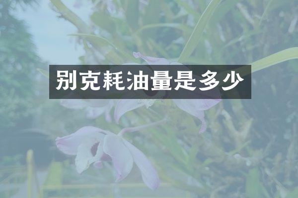 别克耗油量是多少