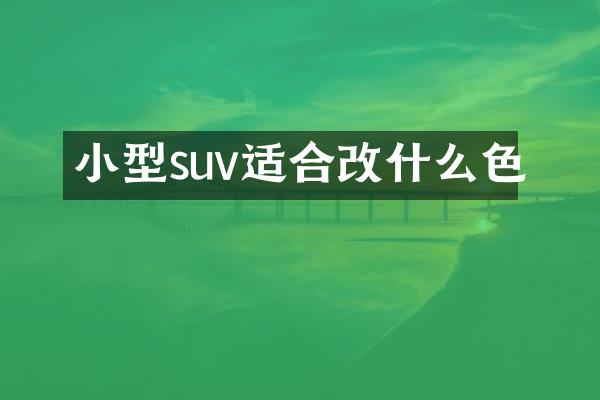 小型suv适合改什么色