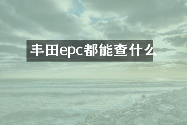 丰田epc都能查什么