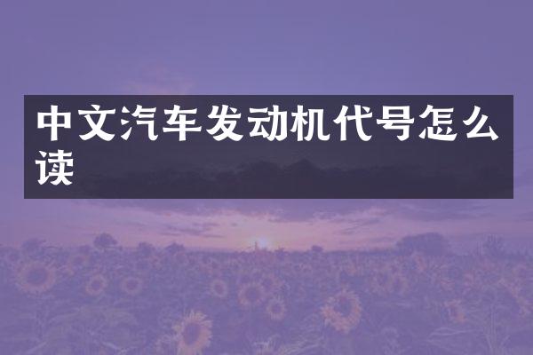 中文汽车发动机代号怎么读
