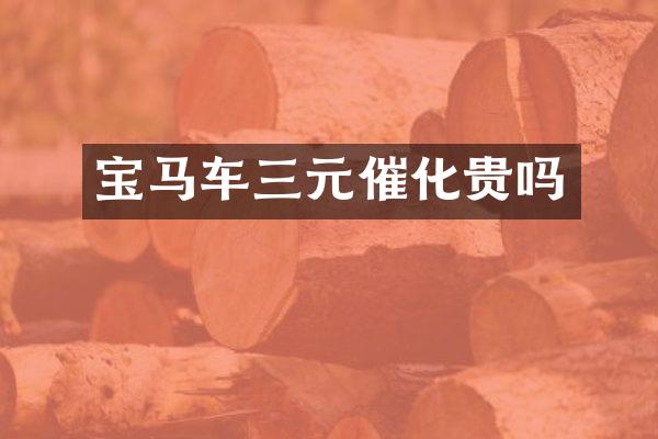 宝马车三元催化贵吗