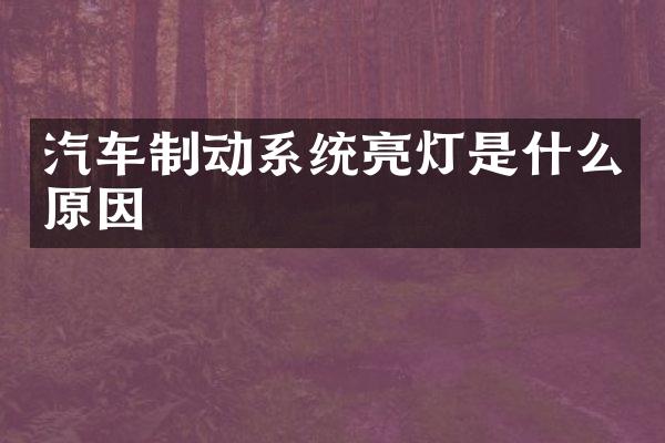 汽车制动系统亮灯是什么原因