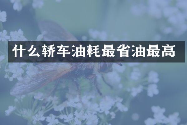 什么轿车油耗最省油最高
