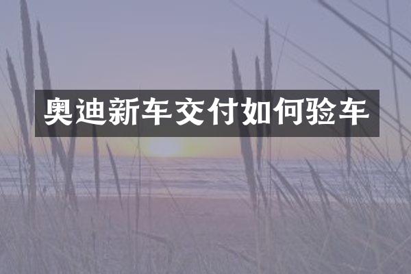 奥迪新车交付如何验车
