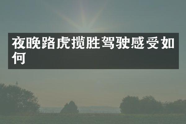 夜晚路虎揽胜驾驶感受如何