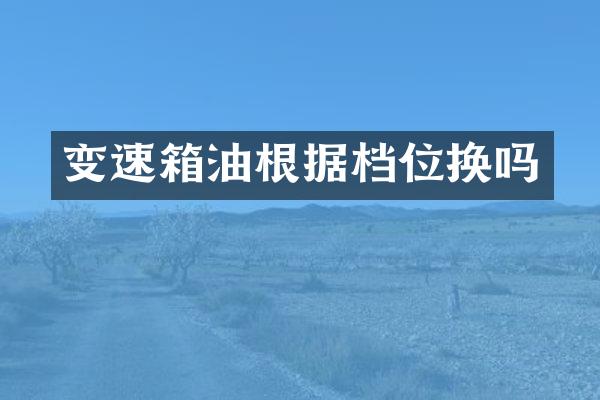 变速箱油根据档位换吗
