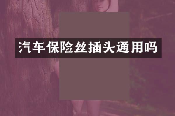 汽车保险丝插头通用吗