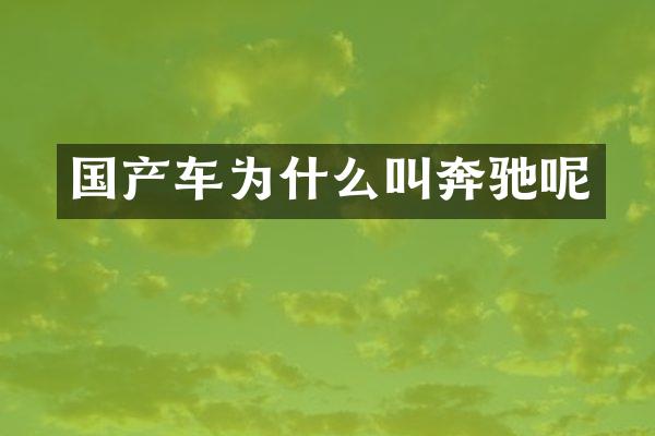 国产车为什么叫奔驰呢