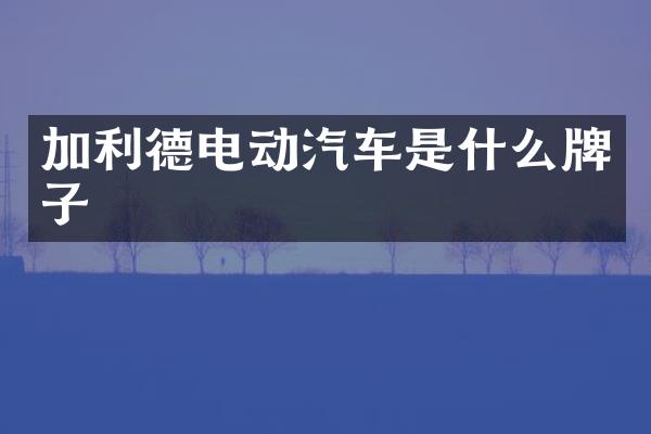 加利德电动汽车是什么牌子