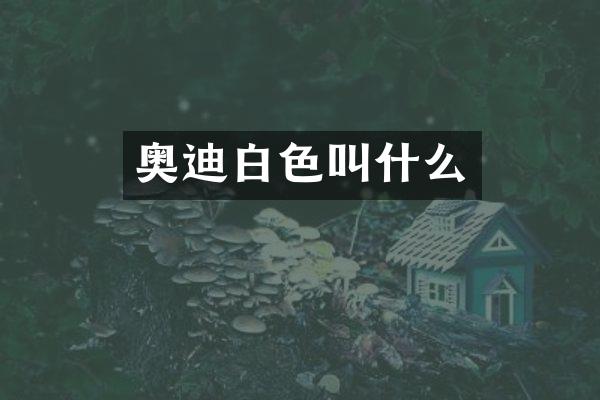 奥迪白色叫什么