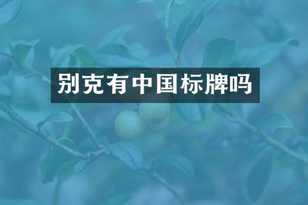 别克有中国标牌吗
