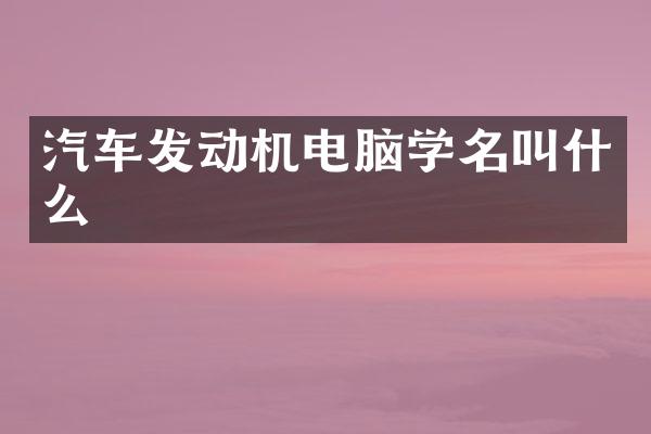 汽车发动机电脑学名叫什么