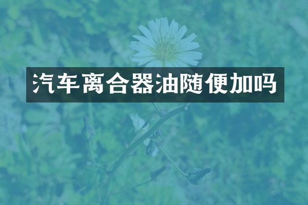 汽车离合器油随便加吗