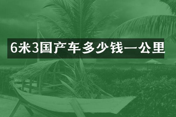 6米3国产车多少钱一公里