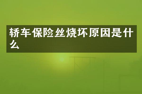 轿车保险丝烧坏原因是什么