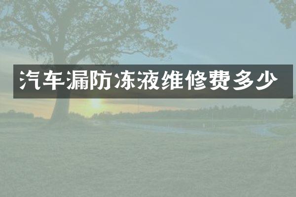 汽车漏防冻液维修费多少