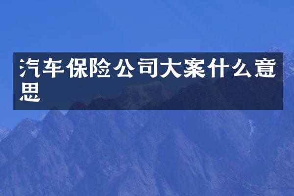 汽车保险公司大案什么意思