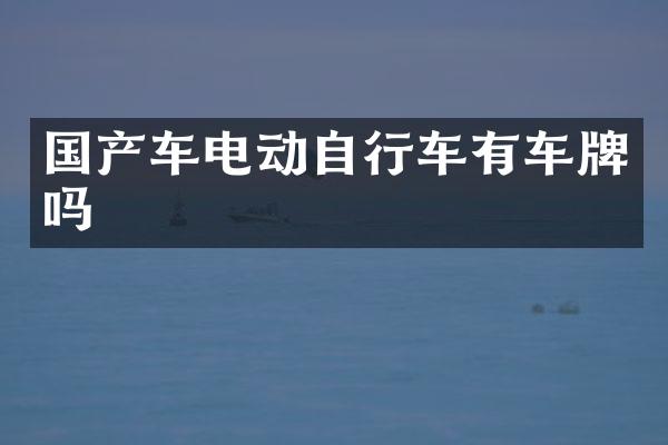 国产车电动自行车有车牌吗