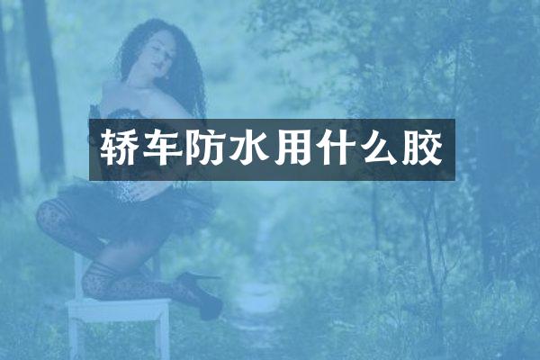 轿车防水用什么胶