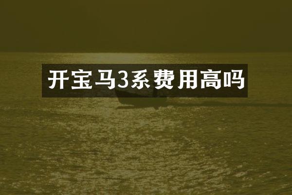 开宝马3系费用高吗