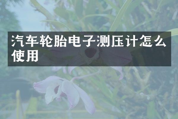 汽车轮胎电子测压计怎么使用