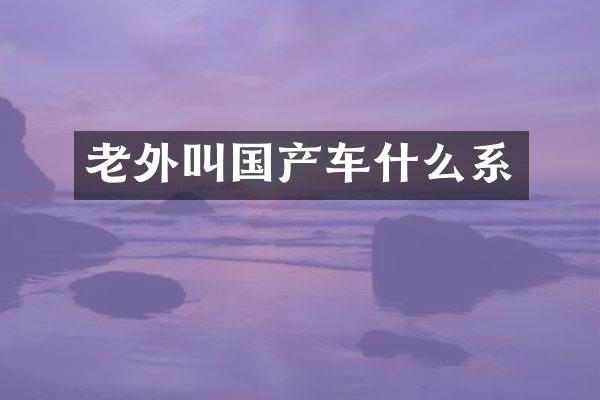 老外叫国产车什么系