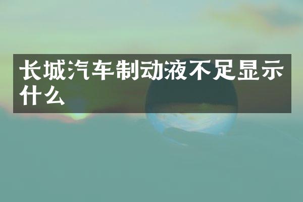 长城汽车制动液不足显示什么
