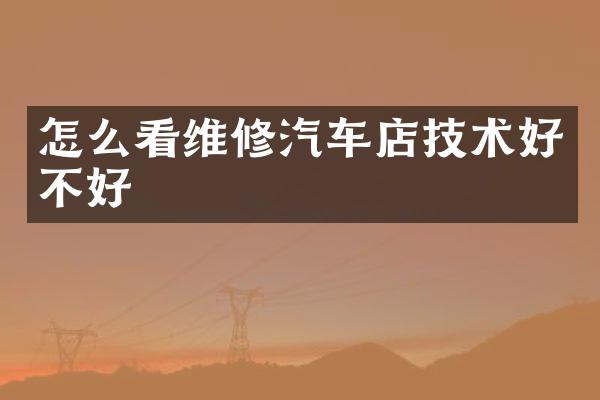 怎么看维修汽车店技术好不好