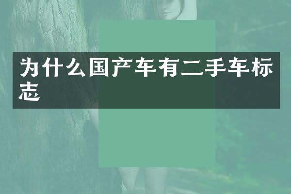 为什么国产车有二手车标志