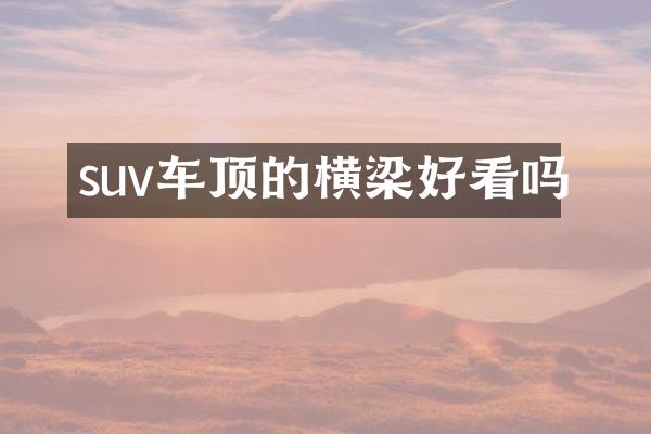 suv车顶的横梁好看吗