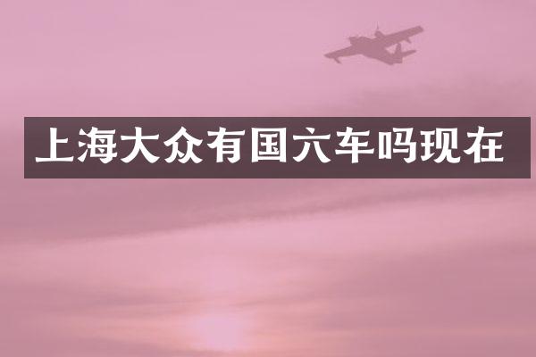 上海大众有国六车吗现在
