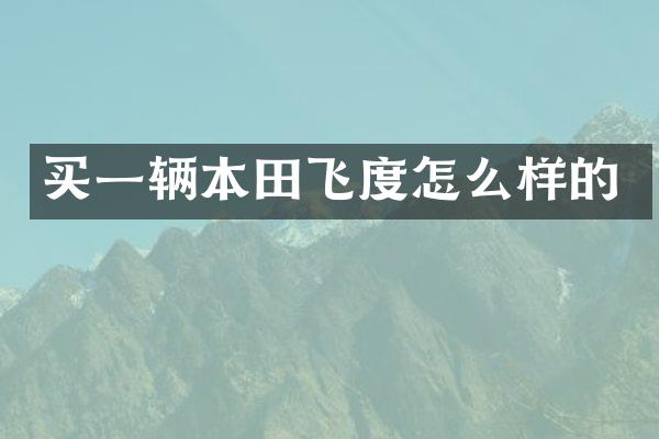 买一辆本田飞度怎么样的