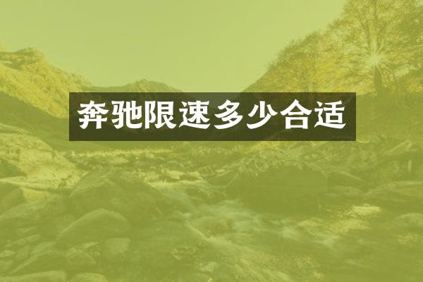 奔驰限速多少合适