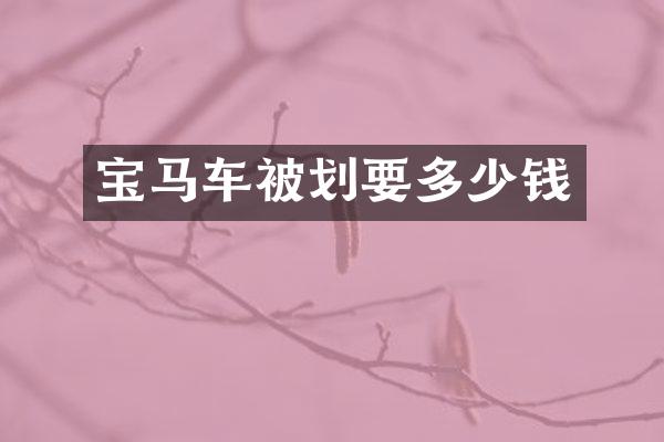宝马车被划要多少钱