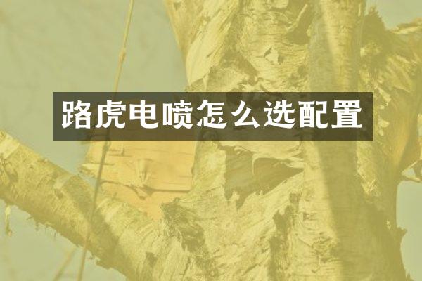 路虎电喷怎么选配置