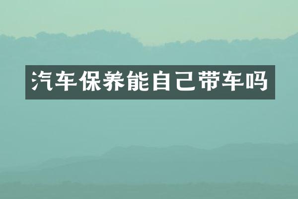 汽车保养能自己带车吗