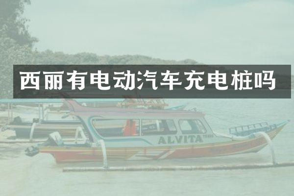 西丽有电动汽车充电桩吗