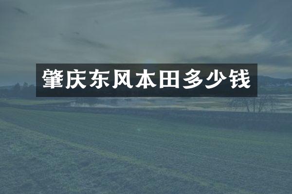 肇庆东风本田多少钱