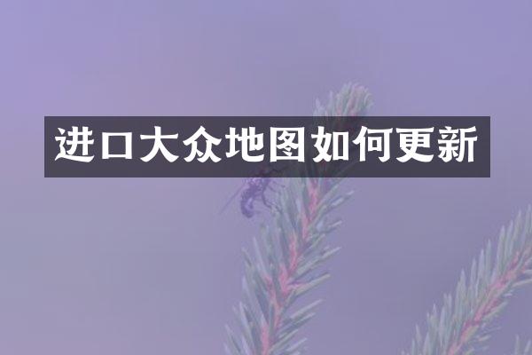 进口大众地图如何更新